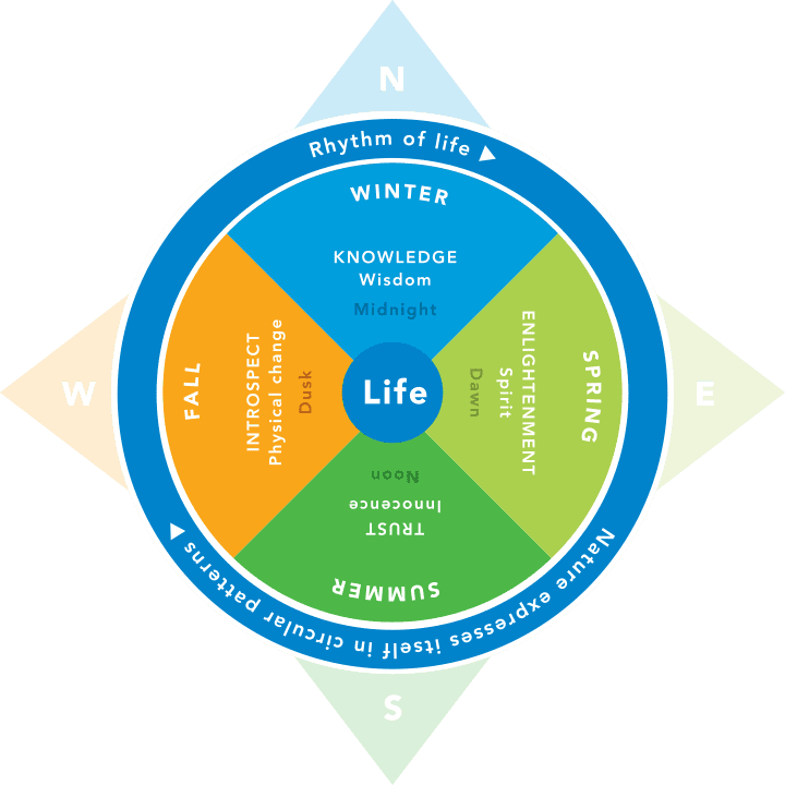 circle of life graphic